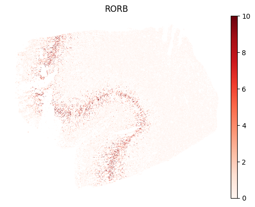 ../_images/notebooks_analyze_merscope_experiment_10_0.png