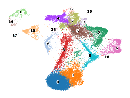 ../_images/notebooks_analyze_merscope_experiment_17_1.png