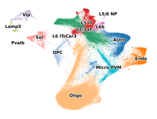 ../_images/notebooks_analyze_merscope_experiment_22_1.png