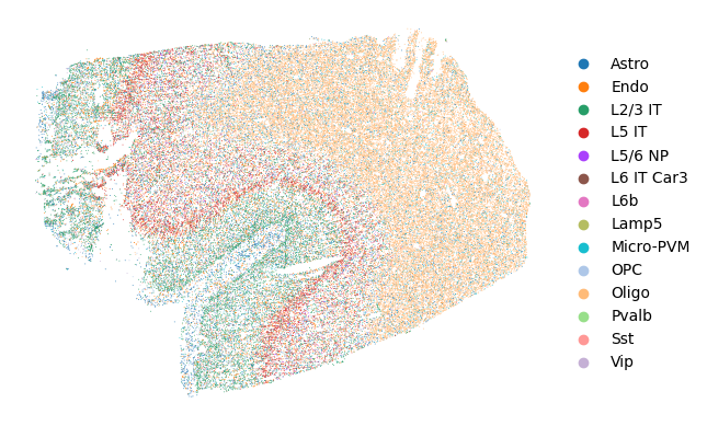 ../_images/notebooks_analyze_merscope_experiment_22_3.png