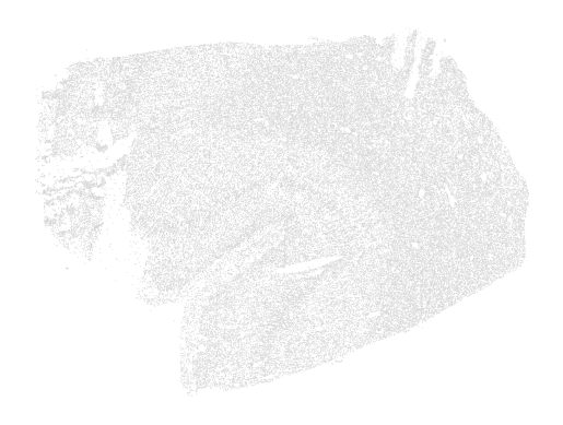 ../_images/notebooks_analyze_merscope_experiment_8_1.png